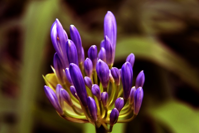 下历史次席 下历史次席