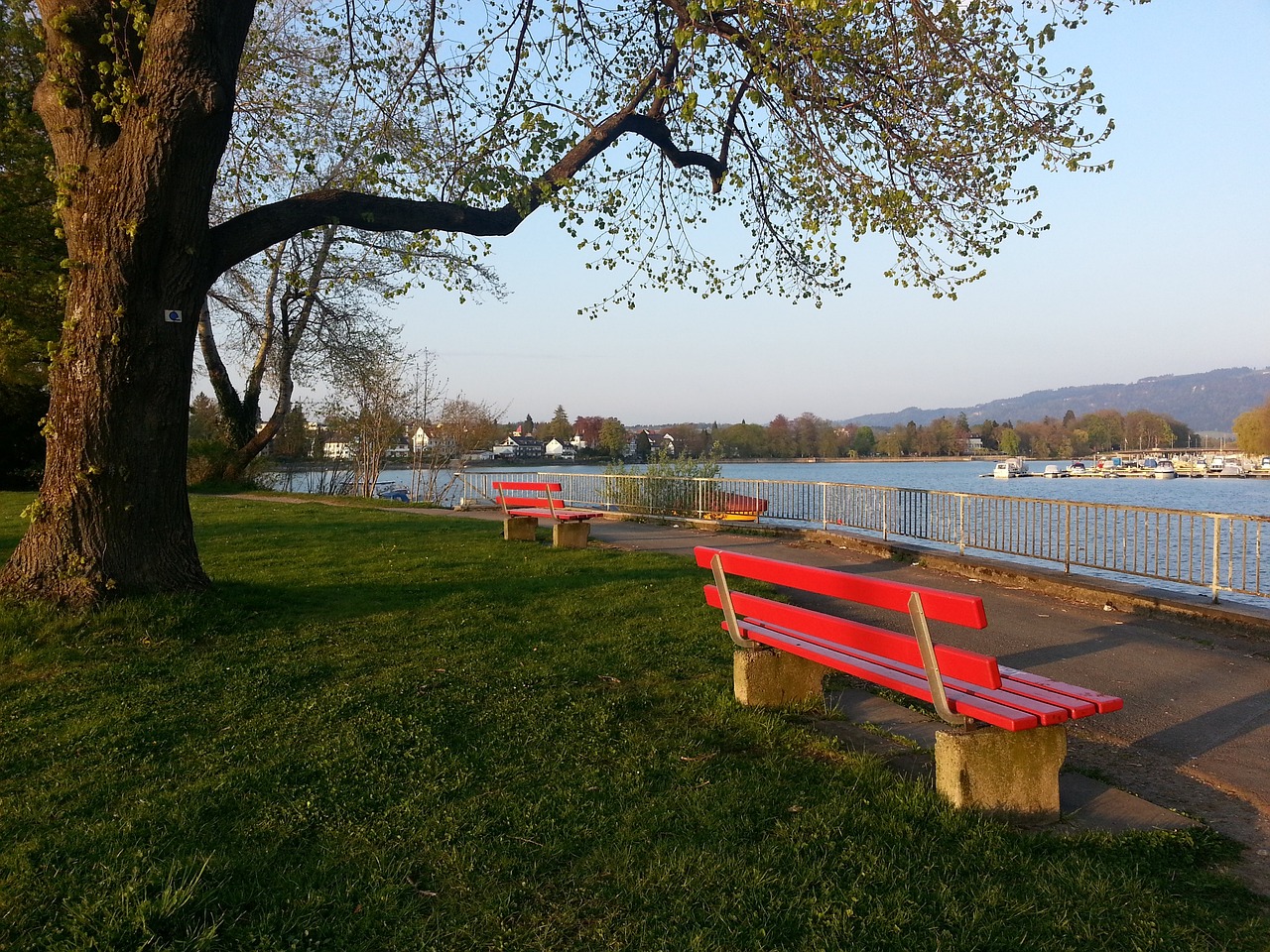 广州恒大 广州恒大