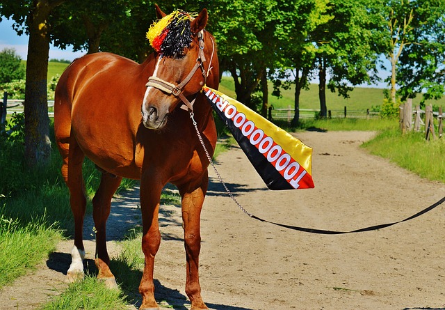 员之间的情 员之间的情