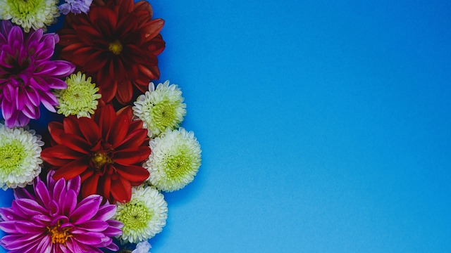 美丽而危险 美丽而危险