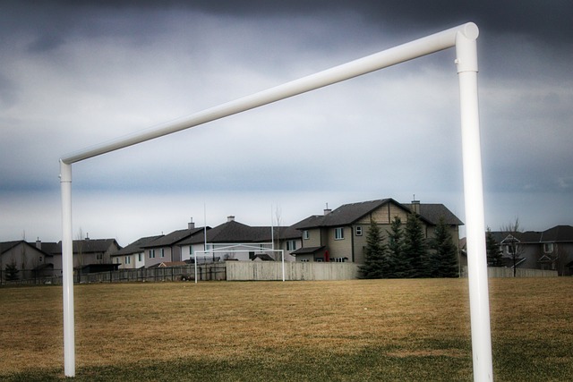 球员在本赛 球员在本赛