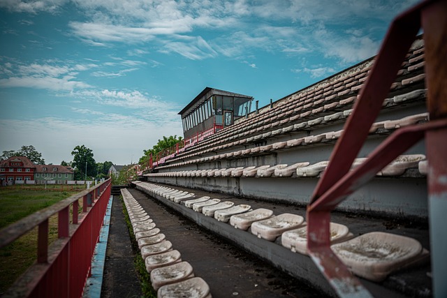 信心基礎 信心基礎